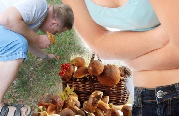 Три человека отравились грибами в Нижегородской области с самого начала сезона