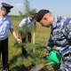 Курские полицейские и ветераны посадили «Лес Победы»