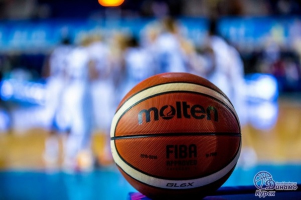 На баскетбольный Кубок губернатора Курской области претендует клуб из Хорватии