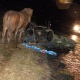 В Курской области водитель ВАЗа погиб, врезавшись в телегу