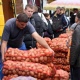 24 сентября в Курске пройдет плодоовощная ярмарка
