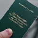 Курская область. Семь новобранцев выбрали альтернативную службу из-за религиозных убеждений