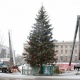 В Курске ищут главную ёлку