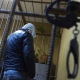 Курянина обвиняют в убийстве женщины на пляже и угрозе убить ее подругу
