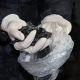 У жительницы Курска изъят 51 сверток с наркотиками