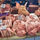 Житель Курска «кинул» селян «на мясо» на полтора миллиона