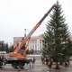 В центре Курска установили главную елку