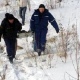 Курская область. В лесу собаки нашли труп младенца, следствие разыскивает мать