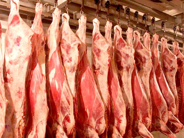 В Курской области утилизировали 8 тонн говядины с кишечной палочкой