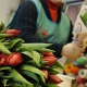 В Курске Россельхознадзор оштрафовал 17 продавцов цветов