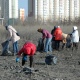 23 и 24 марта в Курске пройдут санитарные дни