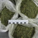 18-летний житель Курска хранил в диване крупную партию марихуаны