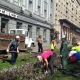 В Курске городские клумбы украсят 444 тысячи цветов