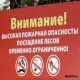 В лесах Курской области с 5 по 9 мая ограничено пребывание людей