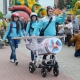 Жителей Курска приглашают на «Парад колясок»
