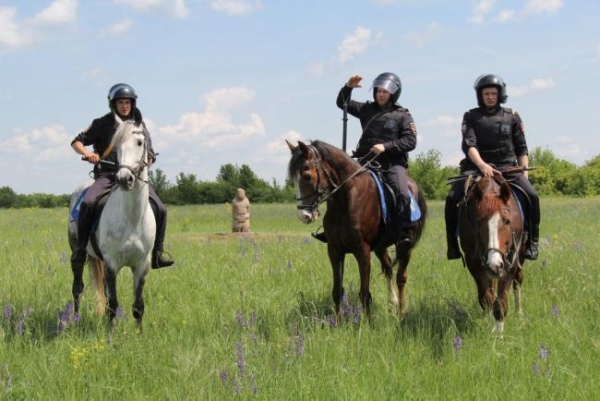 Курские полицейские подошли к заданию творчески. Они воссоздали на фотографии знаменитую картину Виктора Васнецова «Богатыри» Курские полицейские подошли к заданию творчески. Они воссоздали на фотографии знаменитую картину Виктора Васнецова «Богатыри»