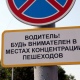 В Курске проходит операция «Пешеход»