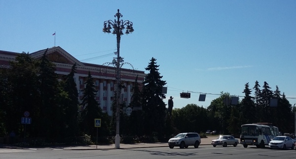 Многие деревья, по мнению специалистов, больны и находятся в аварийном состоянии Многие деревья, по мнению специалистов, больны и находятся в аварийном состоянии