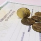 Размер выплаты при рождении третьего ребенка в Курской области планируют увеличить