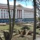 На Красной площади Курска высадили туи