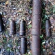 В лесу под Курском обнаружили «схрон» снарядов