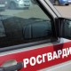 В Курске поймали рецидивистов, дважды пытавшихся обокрасть магазин