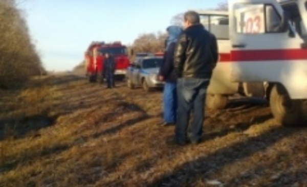 Дорожный инцидент имел место в Горшеченском районе