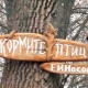 В Курске стартовала акция «Покормите птиц!»