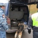 На подъездах к Курску останавливают машины и обыскивают с собаками