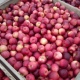 Курская область. Молдавские яблоки, в которых нашли опасного вредителя, все равно поступят в продажу
