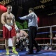 Боксера Андрея Афонина ждут профессиональные бои в США и родном Курске