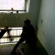 21-летний курянин забил 40-летнего мужчину в подъезде
