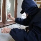 В Курске поймали серийного дачного вора