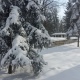 В Курской области обещают сильный снег, метель и ветер