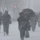 Циклон и арктический фронт могут принести в Курск снегопады, метели и мороз до -27ºС
