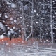 Курская область. МЧС предупреждает об аномально холодной погоде