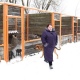 В Курске начался отлов бродячих собак. Пойманным животным будут искать хозяев