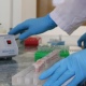 Курские полицейские раскрыли кражу с помощью экспертизы ДНК