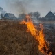 В Курской области из-за аномальной жары до +30 повышается класс пожарной опасности
