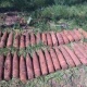 Курянин обнаружил в лесу мини-склад боеприпасов
