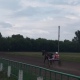 Курск. На ипподроме разыграли призы