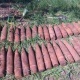 Под Курском обезвредили арсенал снарядов (фото)