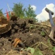 На Кубани нашли останки советского солдата из Курска