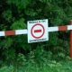 В Курске и области ограничено посещение лесов