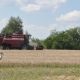 В Курской области завершили уборку зерновых