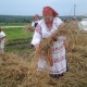 Туристические проекты из Курской области вышли в финал Всероссийской премии «Маршрут года»