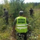 В Курской области создадут «лесной патруль» из добровольцев