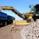 В Курской области собрано более трех миллионов тонн сахарной свеклы
