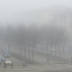 Жителей Курской области предупреждают о тумане