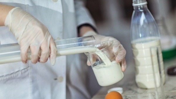 Треть молочной продукции в курских социальных учреждениях признали фальсификатом